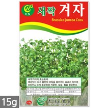 귀리 새싹 씨앗 50g / 새싹씨앗 귀리씨앗 귀리새싹씨앗 새싹귀리 귀리씨 캣그라스 캣글라스 고양이풀, 02_새싹씨앗_겨자(15g)