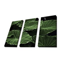 사진 한장을 액자 세개로 만든 3분할 캔버스액자, TF041