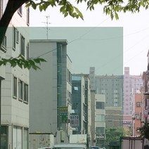 포커스더블유 자외선차단 99% 국산 썬팅지 17종, GN50