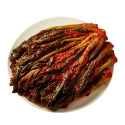 맛장군 오늘담근 갓김치, 1개, 5kg