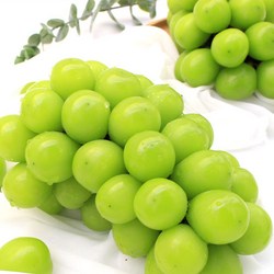 [딜픽]자연농장 실속 샤인머스켓 4-5수 2kg내외 망고포도(1수당 350g-550g내외)