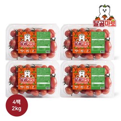 달곰마토 스테비아 방울토마토