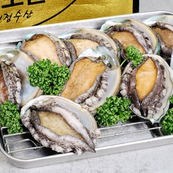 완도 활전복 선물세트 산소포장 손질솔 증정 무료배송, 1개, 왕특대전복 1kg(6-7미)