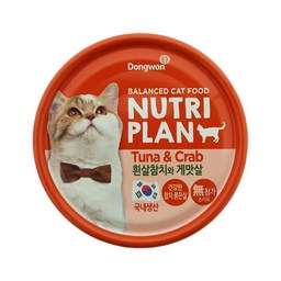 동원뉴트리플랜 고양이 간식 습식캔