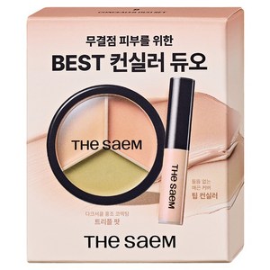 더샘 커버 퍼펙션 컨실러 듀오 세트