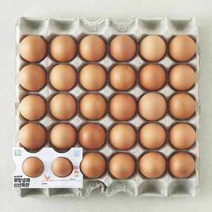 무항생제 신선 특란 1.8kg