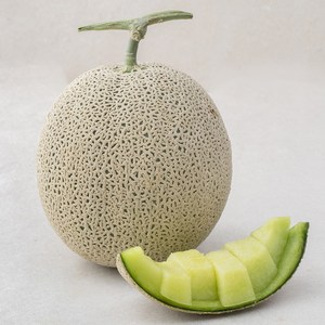 곡성 고당도 맘에쏙 멜론