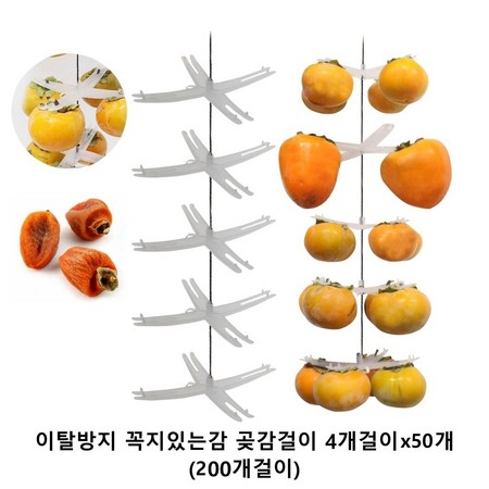 116a6260914b84e02deec64a77abb2793d595faefd90c5d5a753343aa344.jpg