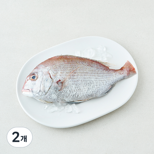 [로켓프레시] 미감어보 국내산 손질 효온처리 통참돔 (냉장), 2개, 200g