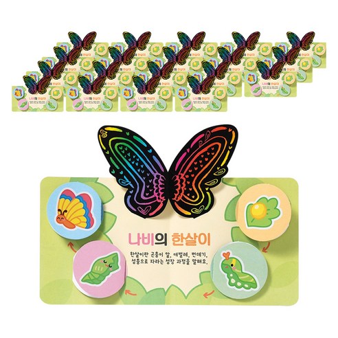 민화샵 나비 한살이 북아트 만들기 RDPPP0510, 혼합색상, 10세트