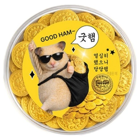 스틴랜드 네덜란드 금화 동전 밀크초콜릿 참잘했어요 굿햄, 260g, 1개
