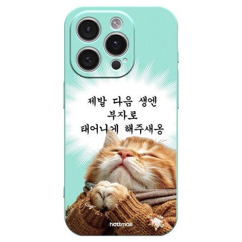 핫티몰 부자냥 소원 재밌는 실리콘 민트 휴대폰 케이스