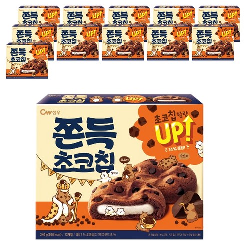 청우식품 쫀득초코칩
