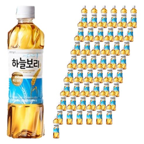 하늘보리