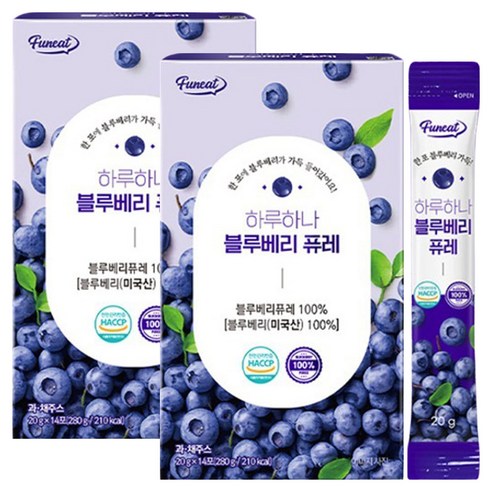 퍼니트 하나하나 블루베리 퓨레, 20g, 28개