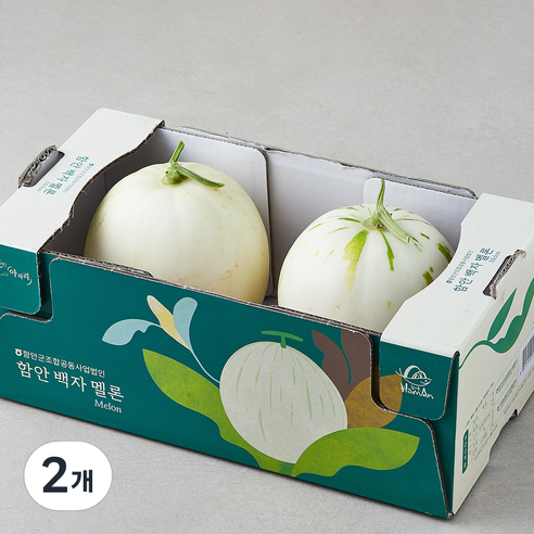 [로켓프레시] 고당도 함안 백자멜론