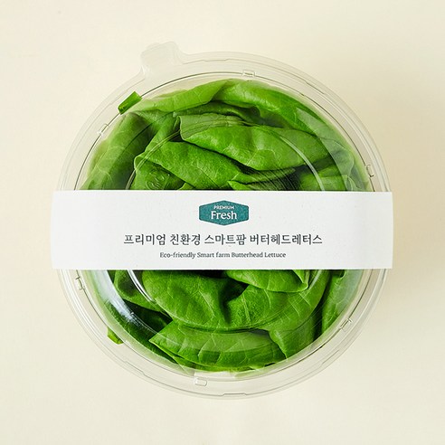 [로켓프레시] 프리미엄 친환경 스마트팜 버터헤드레터스