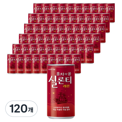 롯데칠성음료 실론티