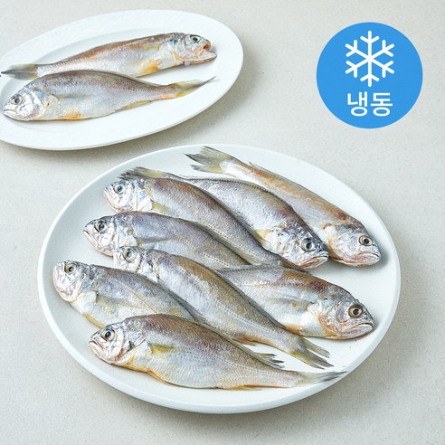 [로켓프레시] 초록바다 굴비 2미 (냉동)