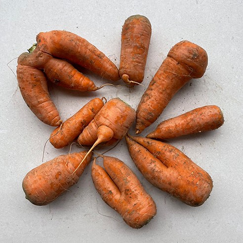 국내산 햇 흙당근, 5kg(못난이), 1개