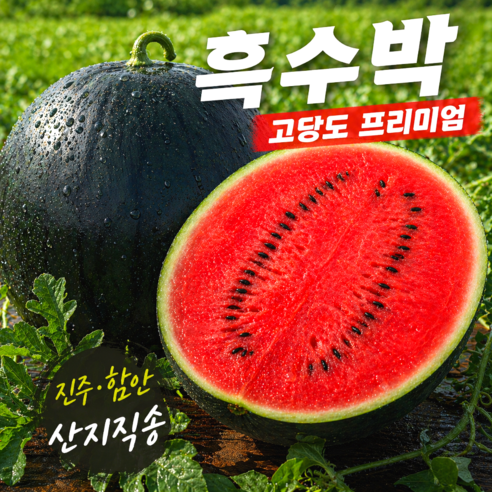 온미엘 진주 함안 고당도 프리미엄 흑수박, 1개, 4~5kg