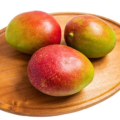 [제주의맛] 최고급 애플망고 산지직송 선물용 가정용, 애플망고 왕특대과 3kg(5~6과), 1개