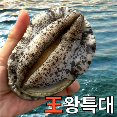 [파도스토리] 완도전복 2kg 왕특대 직거래 산지직송 산소포장 선물 세트