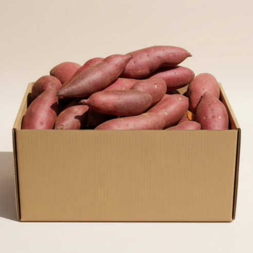 레드이츠 세척 프리미엄 해남 고구마 꿀고구마, 1박스, 대 3kg (300g이상)