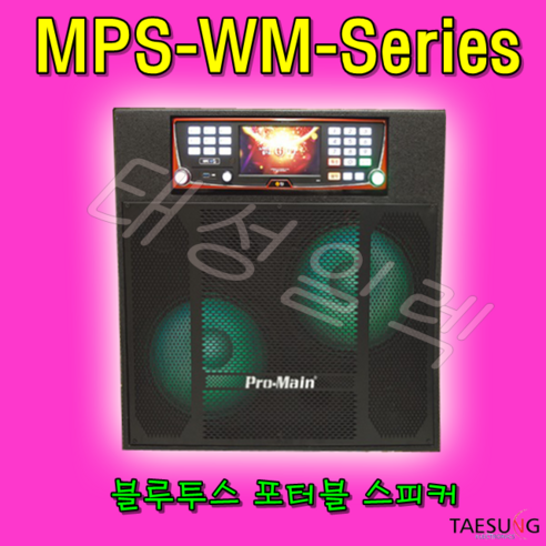 [태성일렉]MPS-82WM/MPS-102WM/MPS-120WM 블루투스 올인원 이동식노래방 케이스, MPS-102WM