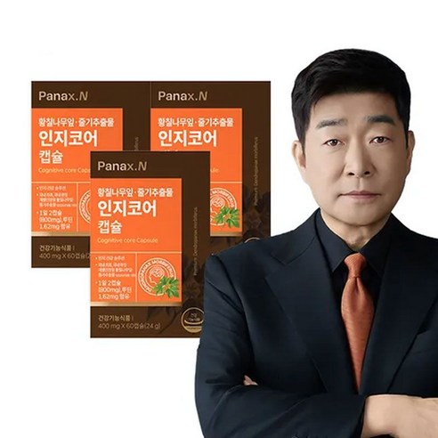 파낙스엔 인지코어