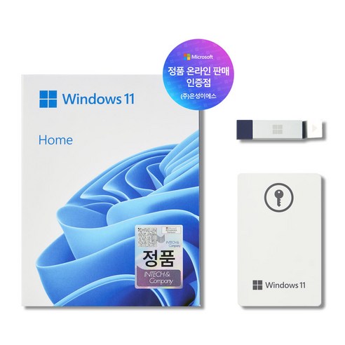 마이크로소프트 Windows 11 Home FPP USB 처음사용자용 한글