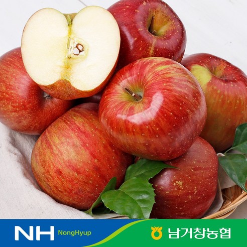 아삭달콤한 거창 꿀사과 못난이사과 5kg(대과)14-16과 내외 부사, 1개, 5kg 대과