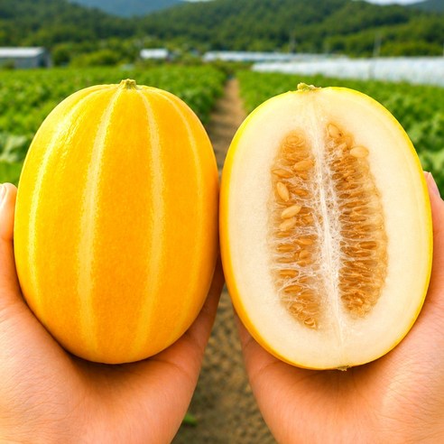 [3일간초특가] 아삭달콤 성주 참외 꿀참외