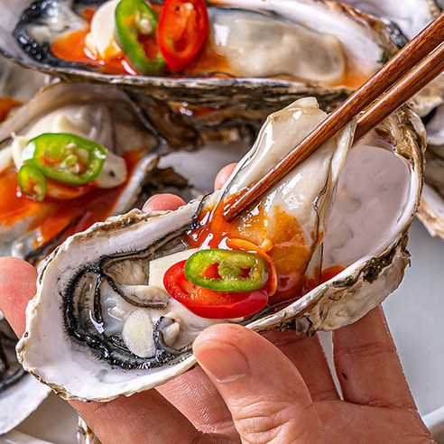 산지직송 국내산 통영 당일조업 통통 하프셀 반각굴 생 굴, 1박스, 하프셀 반각굴 생 굴 2단 (58-60미)