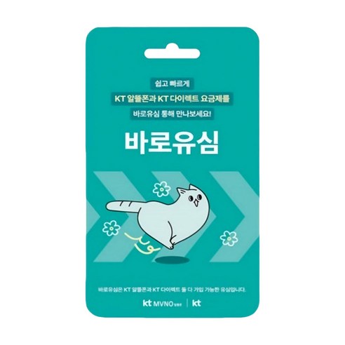 KT 바로유심 1개