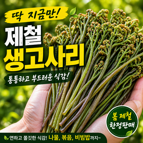 [은채담] 국산고사리 생고사리 햇고사리 봄나물고사리, 1박스, 3kg