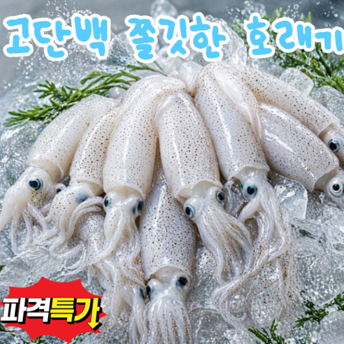 [전국최저가] 특품 국내산 고단백 꼴뚜기 호래기
