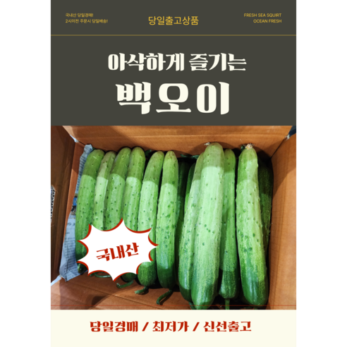 당일경매 국내산 백오이 신선한 오이 경매후바로발송 무침용 생식용 가정용, 중10kg