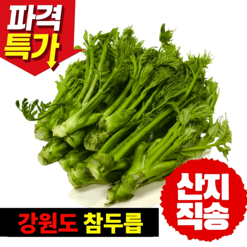 [산지직송] 고야네채소가게 첫수확 최상급 자연산 참두릅 개두릅 국내산 엄나무순, 500g, 1박스