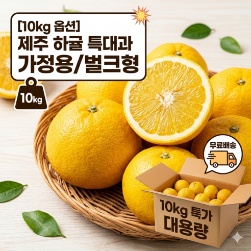 [제주 산지직송] 하귤 5kg 10kg 대과 신선 귤 나스미깡 하귤청 1박스 13kg 22개 내외