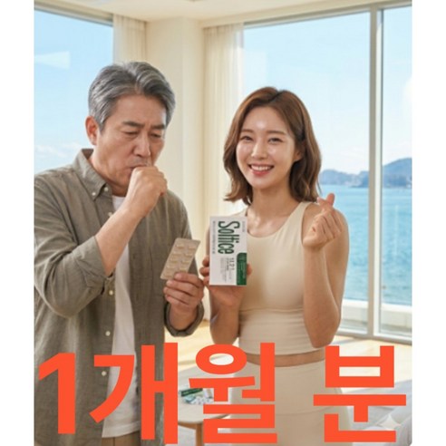 기관지 프로텍션,솔티스,루디콜,800mg,14정