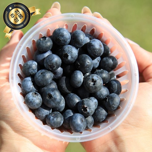 국산 블루베리 생과 생블루베리 중과 대과 블루배리, 1개, 100g(중과)