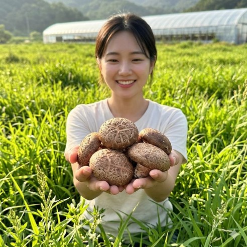장흥 생표고버섯 산지직송 가정용 특품 무농약 이유식 끝내주는 화고 청정버섯