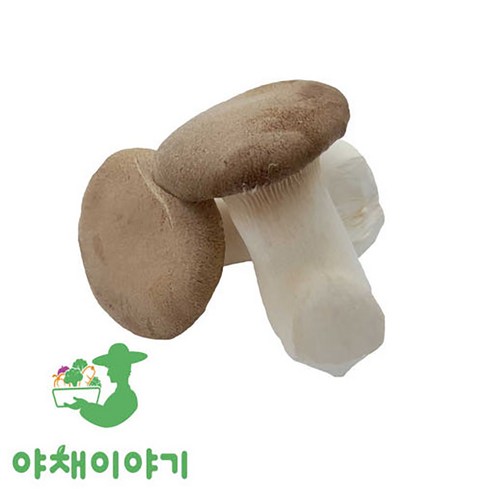 야채이야기 새송이버섯 500g 1팩, 1개, 500g