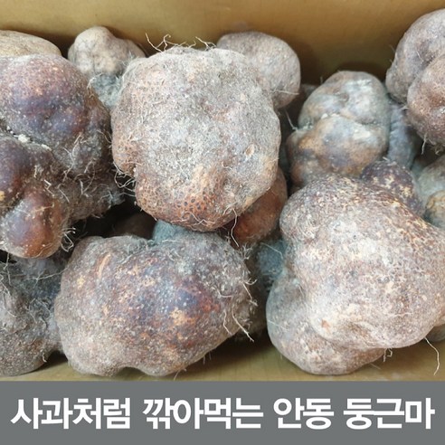 25년햇 둥근마 알뜰10키로 (정직을 배달합니다)