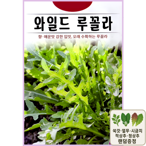 와일드 루꼴라 씨앗 500립 로켓샐러드 아루굴라 ks