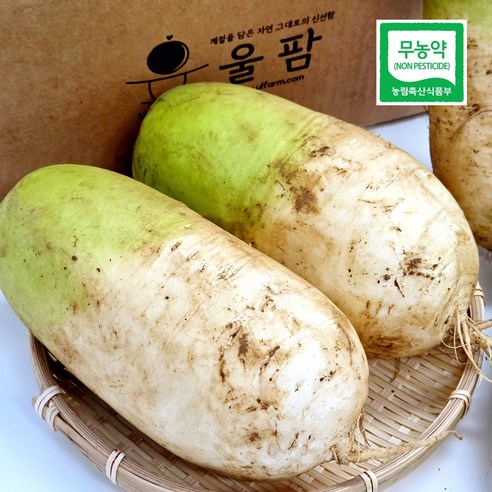 국내산 울팜 제주 친환경 월동흙무 월동무 흙무, 1개, 친환경 흙무 1kg