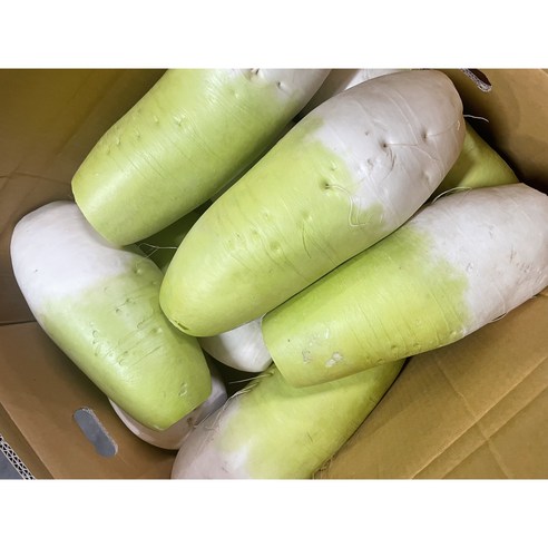 (당일경매) (당일출고) 아삭하고,달큰한 국내산 무 5kg 10kg 20kg 1박스 (최상급) (제주산), 1개, 20kg