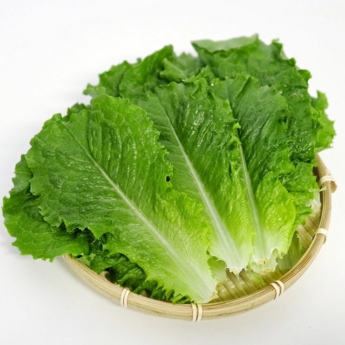 국내산 울팜 청상추 로메인 쌈채소, 1개, 1kg