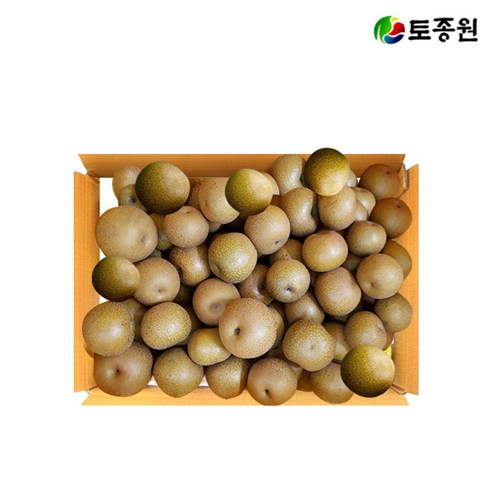 토종원 백운산 참돌배 10kg 청정 산골